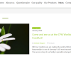Dr. Sigmund - Wordpress Theme