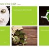 Dr. Sigmund - Wordpress Theme
