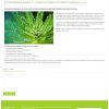 Dr. Sigmund - Wordpress Theme
